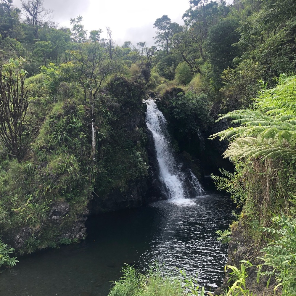 Meet your Posher, Angie